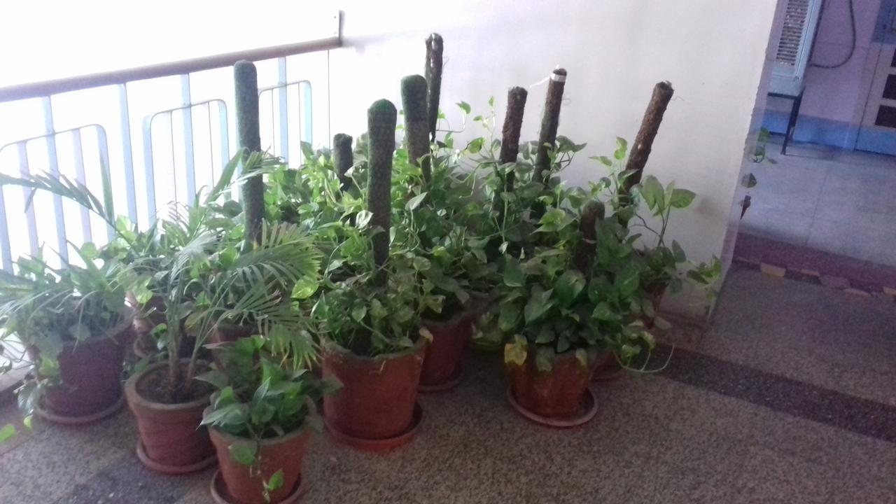 جودبور Arun Hotel المظهر الخارجي الصورة